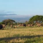 kenia afrika reise bilder 007