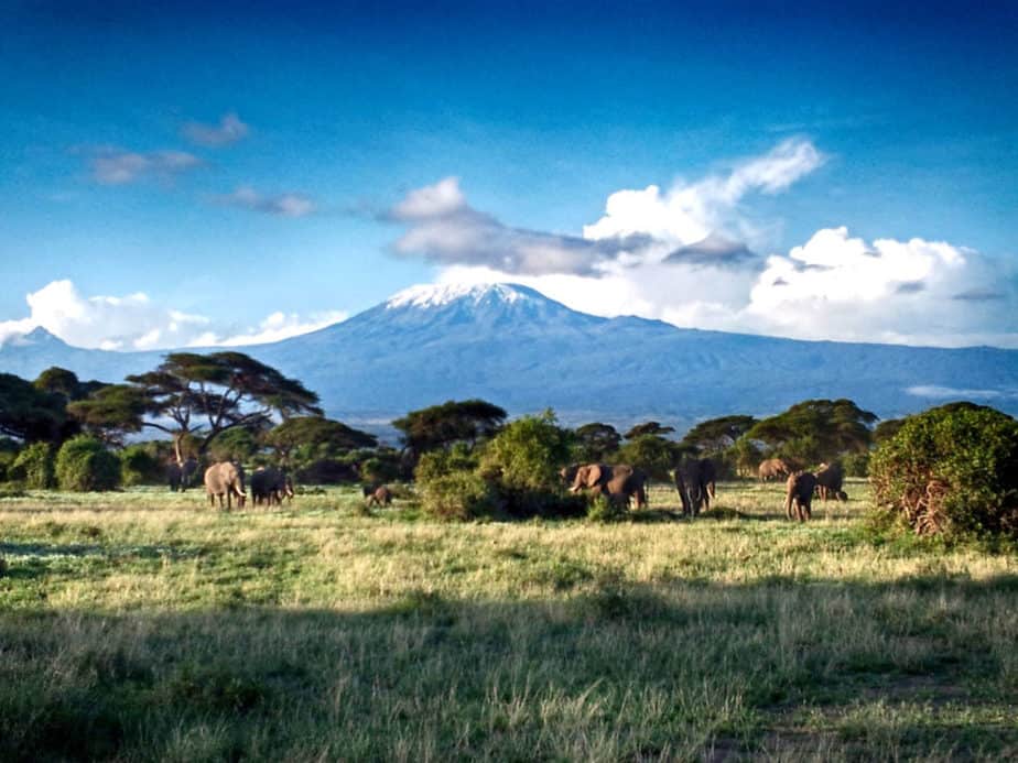 Serengeti Afrika Kenia Kilimandscharo