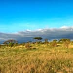 kenia afrika reise bilder 016