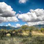 kenia afrika reise bilder 068