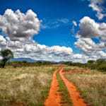 Serengeti Kenia