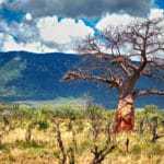 kenia afrika reise bilder 070