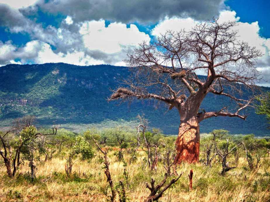 kenia afrika reise bilder 070