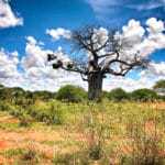 kenia afrika reise bilder 076