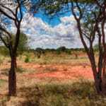 kenia afrika reise bilder 077