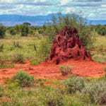 kenia afrika reise bilder 081