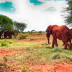 kenia afrika reise bilder 094