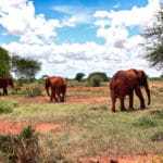 kenia afrika reise bilder 095