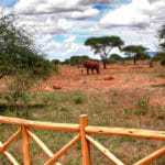 kenia afrika reise bilder 109