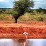 kenia afrika reise bilder 119