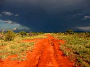 Rote Serengeti Kenia