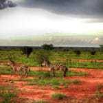 kenia afrika reise bilder 173