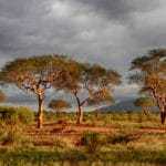 kenia afrika reise bilder 188