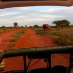 kenia afrika reise bilder 192