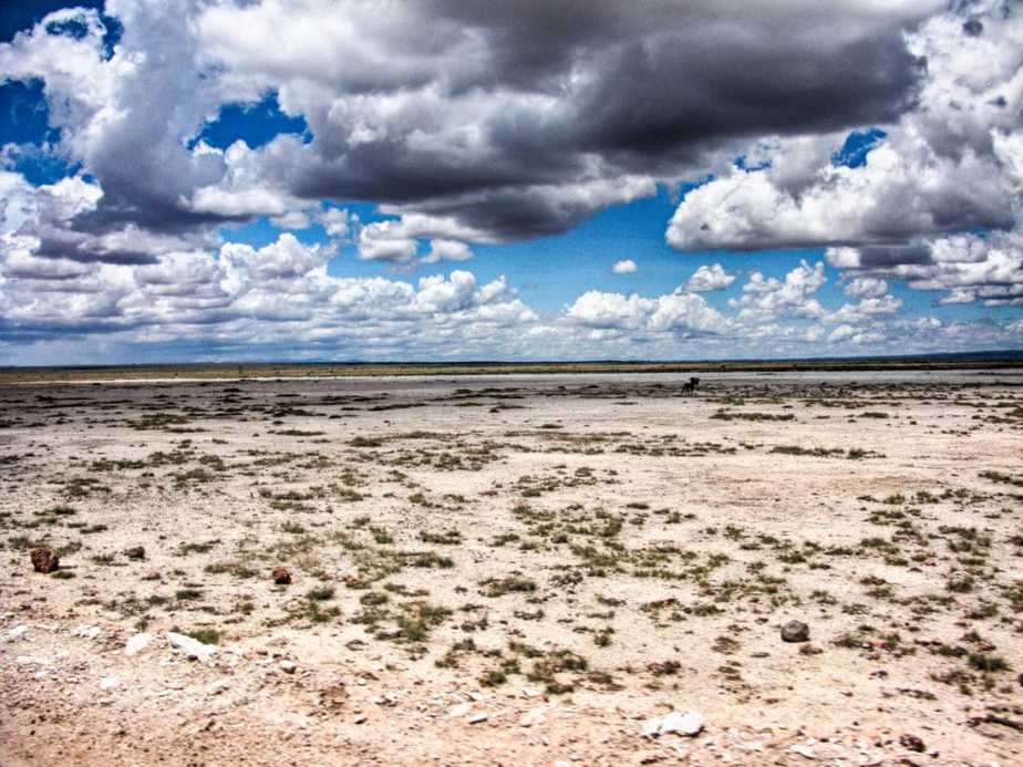 kenia-afrika-reise-bilder-269