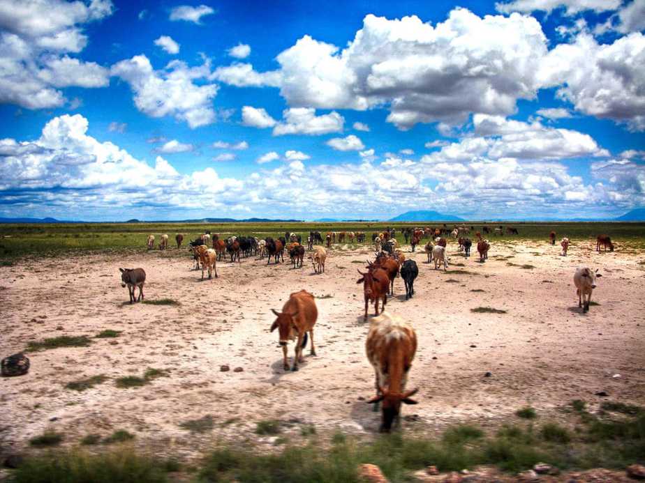 kenia afrika reise bilder 270 1