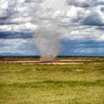 Kleiner Hurrikan Serengeti Kenia