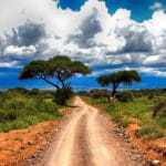 kenia afrika reise bilder 305