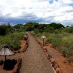 kenia afrika reise bilder 322