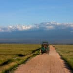 Serengeti Kenia