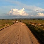 Serengeti Bilder aus Kenia