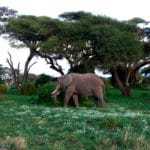 kenia afrika reise bilder 388