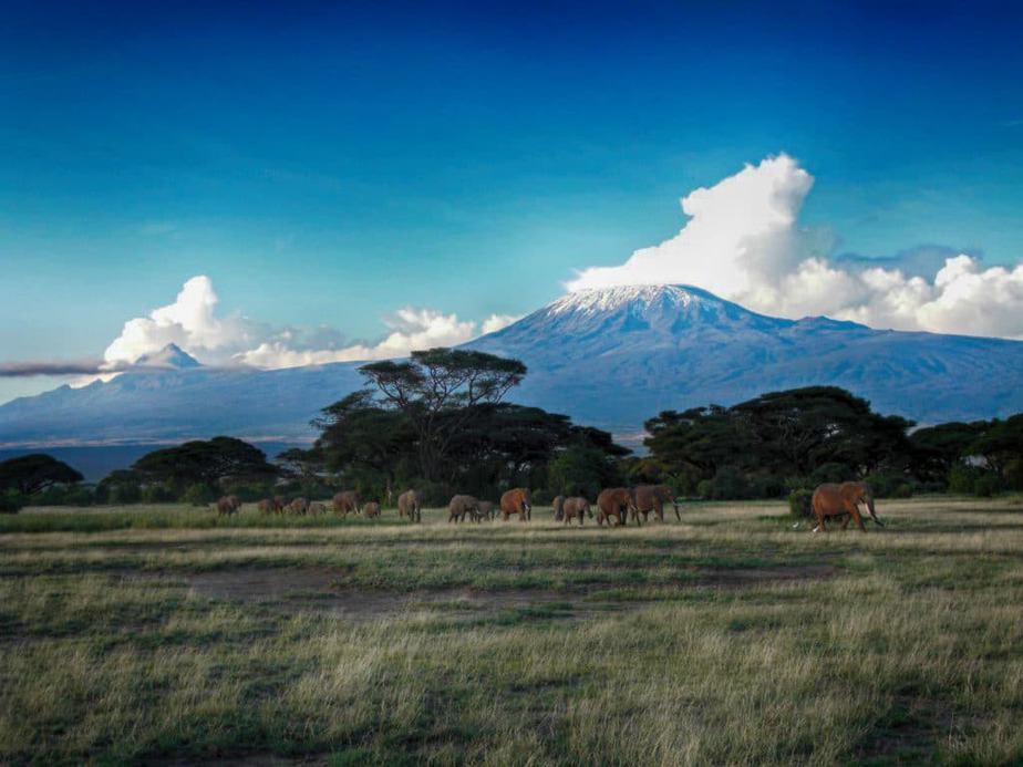 kenia afrika reise bilder 414