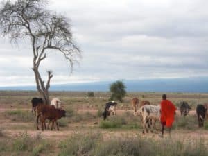 kenia afrika reise bilder 430