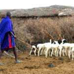 kenia afrika reise bilder 444