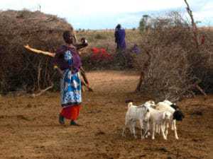 kenia afrika reise bilder 467