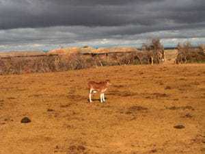 Massai Reservat