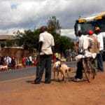 kenia afrika reise bilder 497