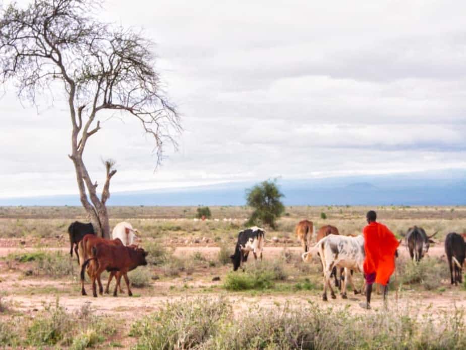 Massai Safari Afrika