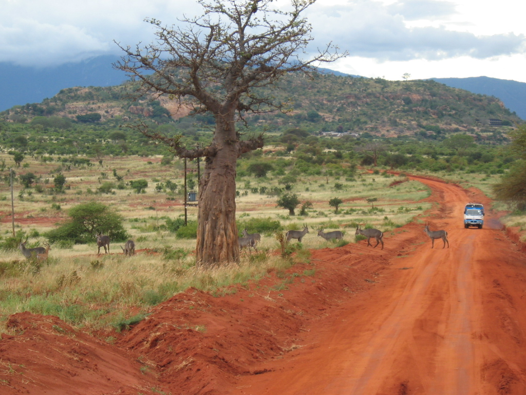 Straße im Tsavo-East-Nationalpark Bild: Simone Roda CC BY 2.0